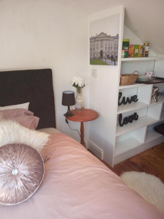 A Cosy Dublin Room エクステリア 写真